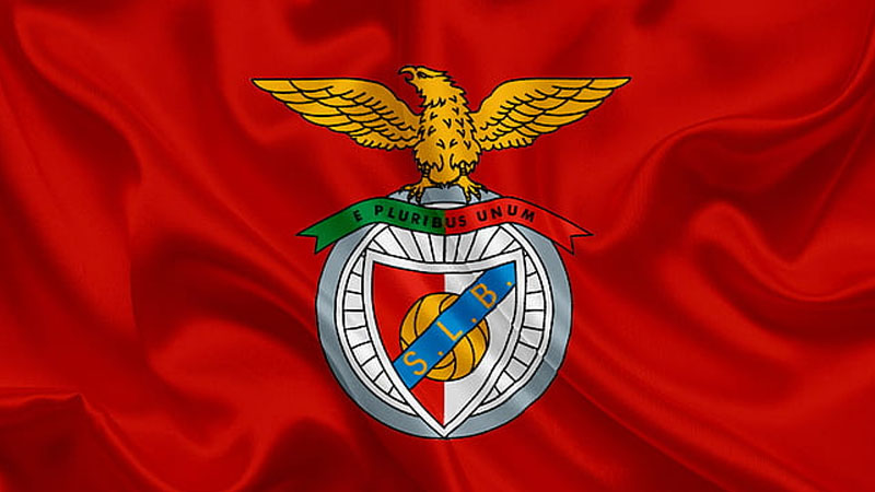 Benfica - Tình yêu không có giới hạn